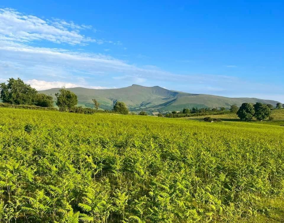 Little Cottage Of The Beacons Brecon Dış mekan fotoğraf