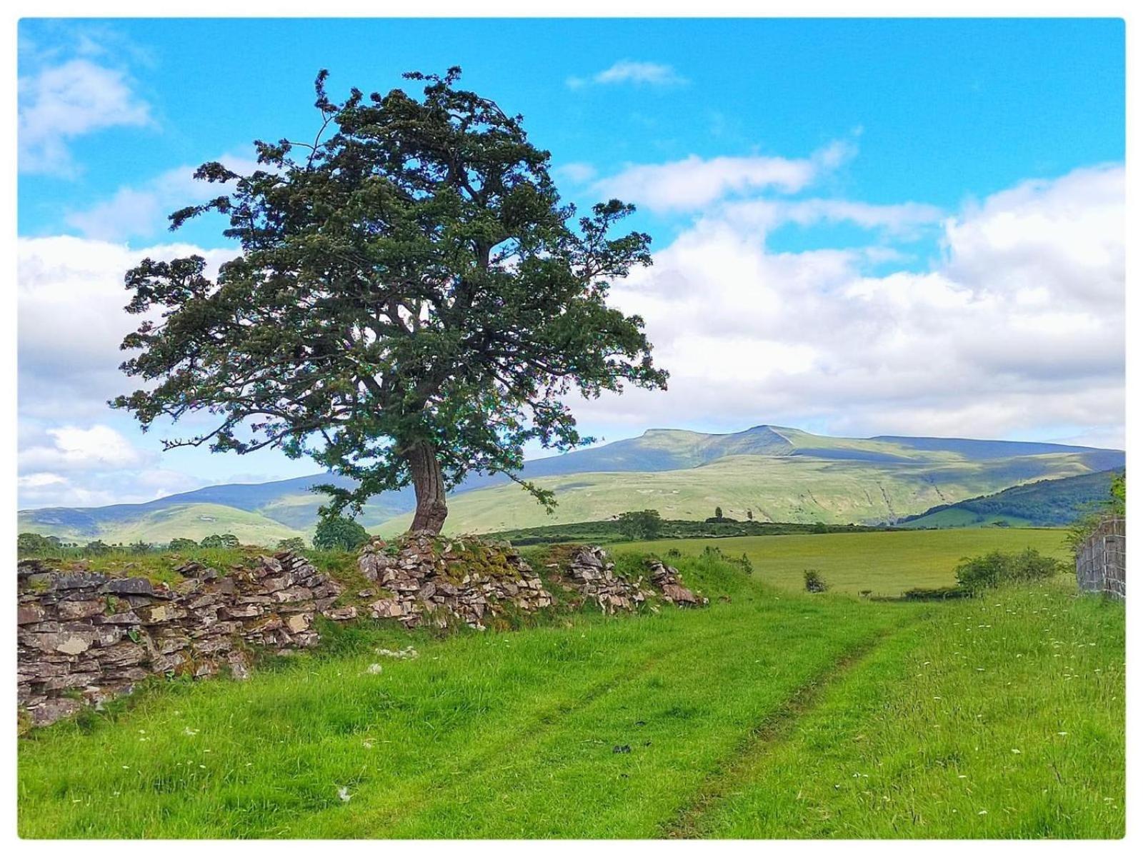 Little Cottage Of The Beacons Brecon Dış mekan fotoğraf